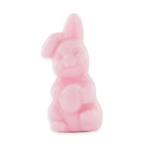 Sachet de 4 savons "Animaux domestiques"